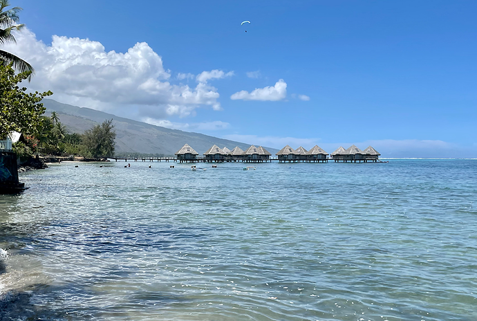 Retour de POLYNÉSIE : TAHITI - PATOUTAILLE
