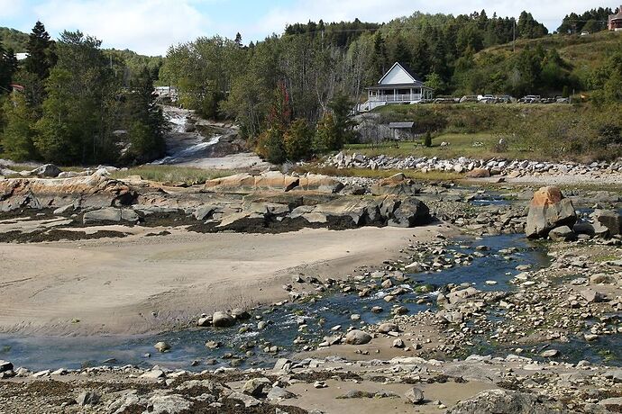 Quelques suggestions entre Québec et Tadoussac. - puma