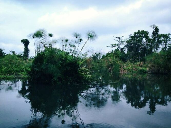 Eco village ENANIMO ! La plus fantastique des aventures ! - Sophie06400