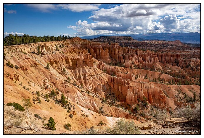 BRYCE (182)