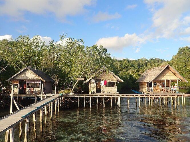 Re: Voyage aux Raja Ampat - dorade