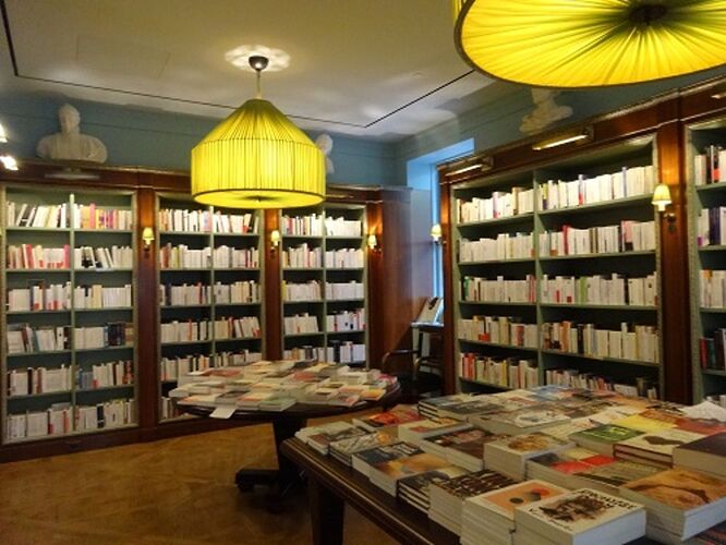 Albertine : la librairie française - sourisgrise