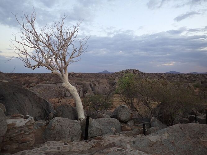 Re: Namibie - 15 jours en octobre 2018 - pascal41lc