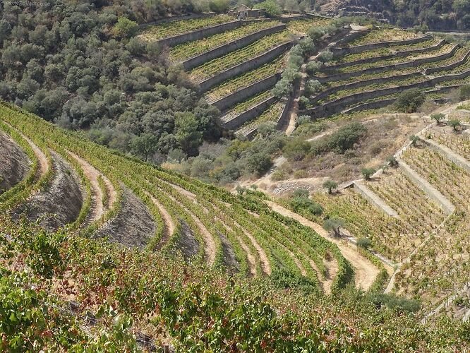 1 semaine à Porto et dans la vallée du douro! - PepetteEnVadrouille