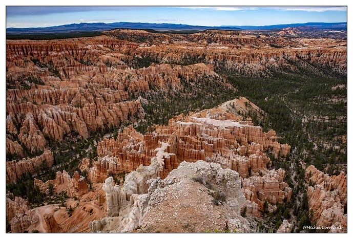 BRYCE (244)