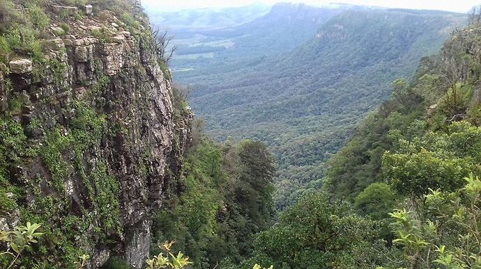 Re: Le Cap et Kruger, 12 jours en février avec des ados - aude73