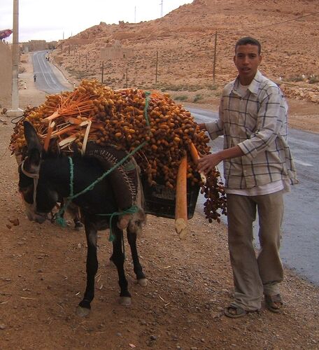 Re: Montagnes, oasis, kasbahs du Maroc  - mimidada