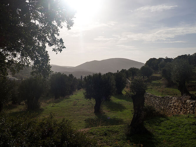 Grêce 7 jours donc Trek 4 jours à Naxos - Le crabi en voyage