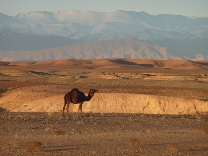 Re: Montagnes,oasis,kasbahs du Maroc  - mimidada