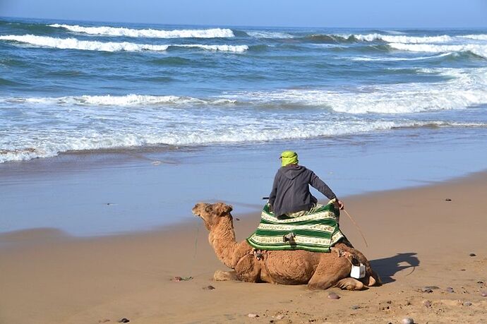 Re: Nuit dans le désert départ Agadir - Chantal Porspo