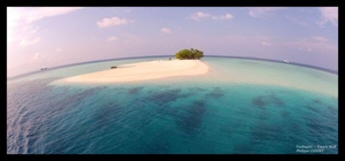 VASHUGIRI & Ambara - Philomaldives  Guide  Maldives