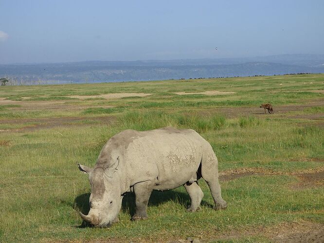 Re: Waltz Tours Safaris au Kenya - Amelie-Rdt