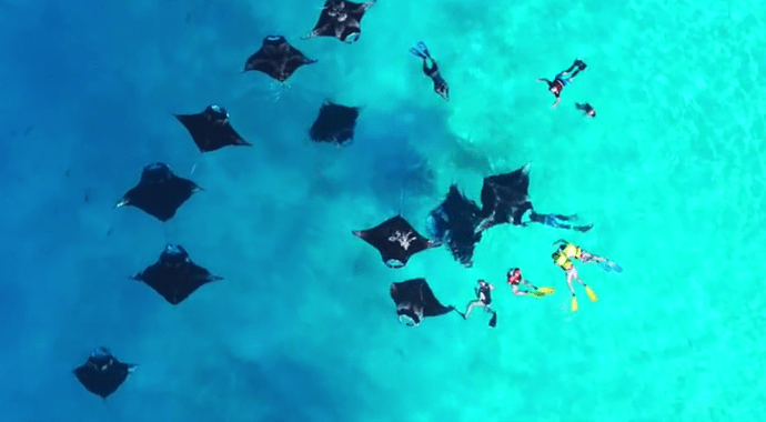 Re: Quel hôtel pour le snorkeling  - Phil Ô Maldives Guide Safaris