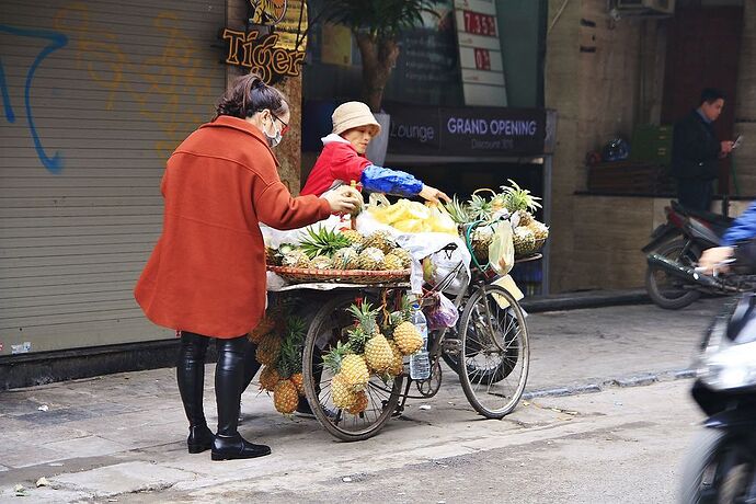 18 jours au Vietnam du Nord au Sud, janvier 2018 - lolotte34