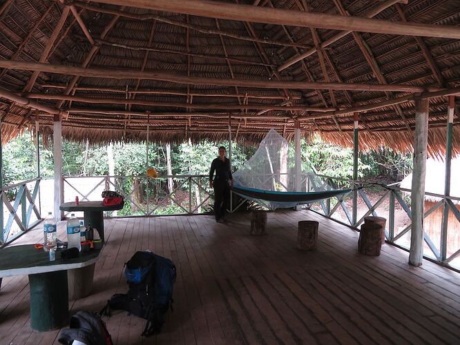 Amazonie péruvienne : 2 semaines en plongée au coeur du poumon vert - Kikisbackpackingtour