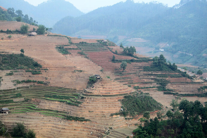 Re: sapa ou mu cang chai? - Abalone_vn