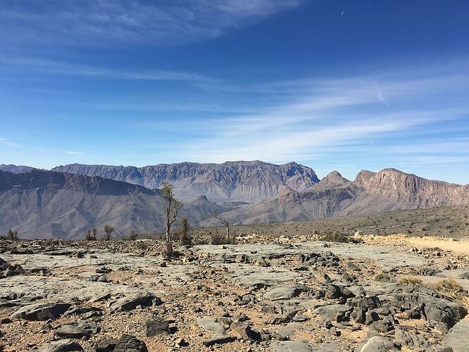 Re: De retour de deux semaines à Oman avec 3 jeunes enfants en camping sauvage - jmayo