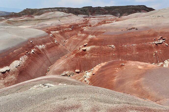 Parc national de Capitol Reef et Cathedral Valley - chellmi