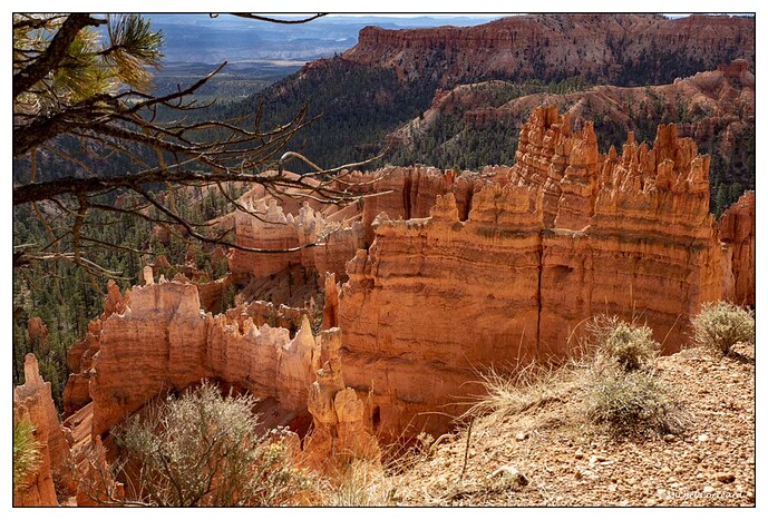 BRYCE (178)