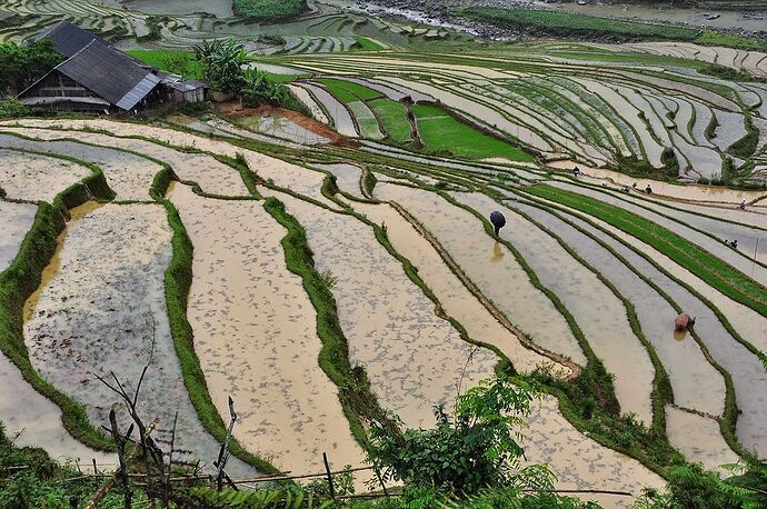 Re: Dernièes nouvelles de Sapa - chellmi