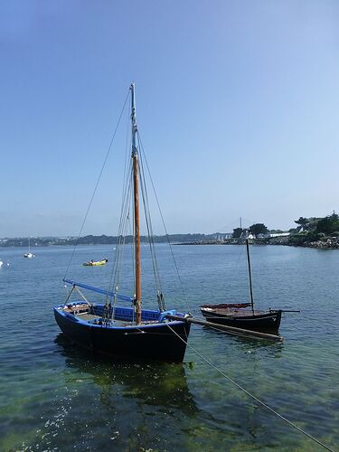 Re: Carnet de voyage, une semaine sous le soleil de Bretagne - Fecampois