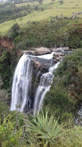 Re: Le Cap et Kruger, 12 jours en février avec des ados - aude73