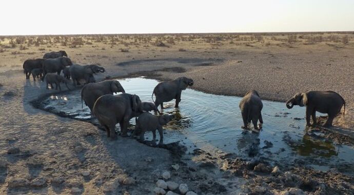 Re: 3 fabuleuses semaines Namibiennes- juillet 2021 - Patbillvoyage