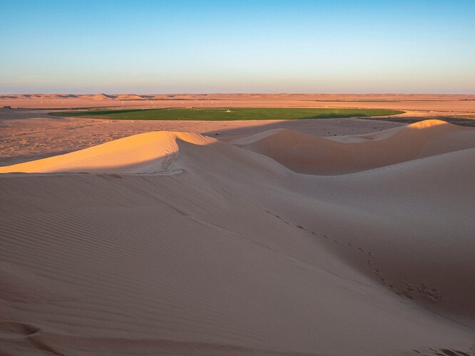 Dunes de Ain Loussig/Mansoura, culture en rond