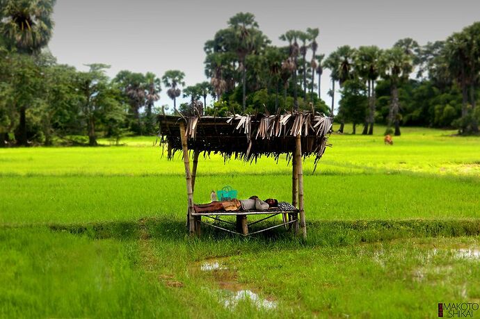 Re: Tour à Siem Reap autre que les temples  - IzA-Cambodia