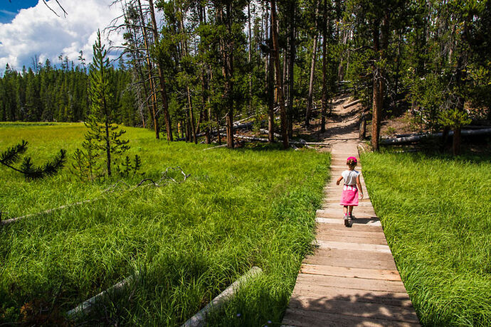 Vendredi 28 Juillet – Grand Canyon of Yellowstone - darth
