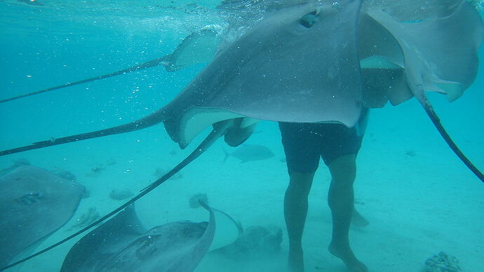 Re: excursion sur lagon de Bora - chgut