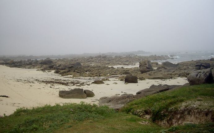 Fin Juin en Bretagne Nord - Zoreillette