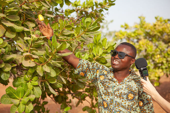 Re: Recommandation pour Florent Doko un excellent guide au Bénin et pour le parc de la Pendjari - swell