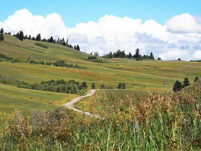 L'Ouest canadien à pleins poumons: épisode 2, l'Okanagan et la route vers la côté, via Whistler - fabienne65