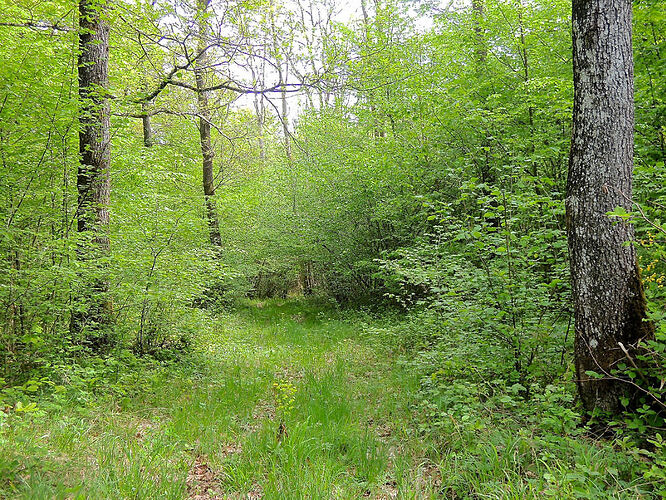 photos randonnées en Ardennes belges - nicolasDB