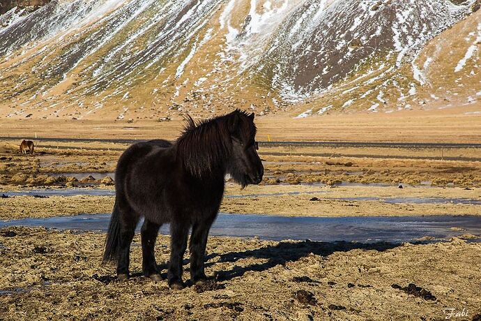 Retour d'Islande, séjour début février 2016 - fabivoyages Retour d'Islande, séjour début février 2016 - fabivoyages