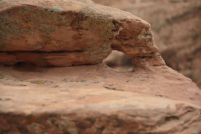 Lundi 3 août : Arches National Park - darth