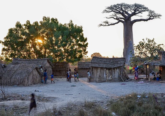 23 jours à Madagascar: Tana, les baobabs, les tsingy, Andasibe, Les Pangalanes, St Marie, Antsirabe - Lezard26 23 jours à Madagascar: Tana, les baobabs, les tsingy, Andasibe, Les Pangalanes, St Marie, Antsirabe - Lezard26