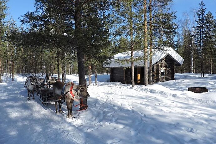 Re: Laponie Finlandaise Fevrier 2017 : Activités hors tours operators - Christine T.