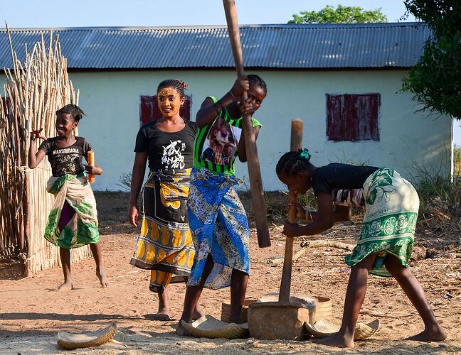 23 jours à Madagascar: Tana, les baobabs, les tsingy, Andasibe, Les Pangalanes, St Marie, Antsirabe - Lezard26 23 jours à Madagascar: Tana, les baobabs, les tsingy, Andasibe, Les Pangalanes, St Marie, Antsirabe - Lezard26