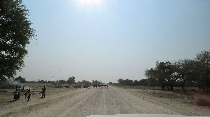 Re: NAMBOTSVIC Namibie- Botswana- Victoria Falls, 3 semaines magiques - PATOUTAILLE