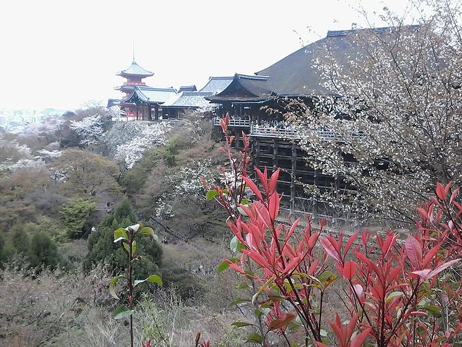 Re: Dans quels quartiers loger à Kyoto? - quinqua voyageuse