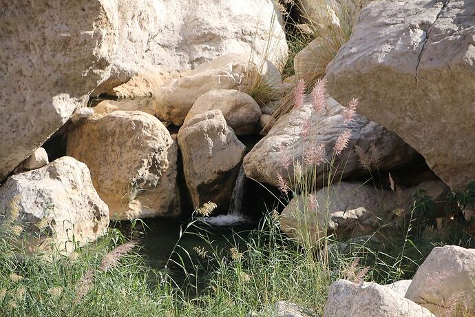 2 semaines de camping à Oman : des treks, des dunes et des wadis : Suite - Carines26