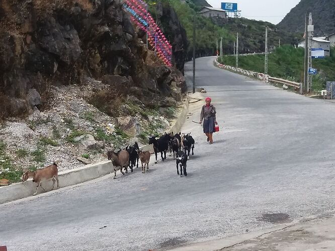 Re: Sapa ou Ha Giang ? - remyber