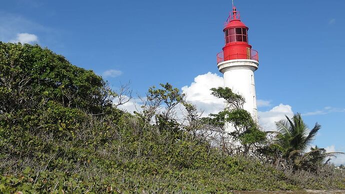 Re: Retour 2 semaines en Guadeloupe - michele87