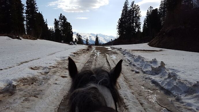 Trek à cheval dans les monts Altaï, Kazakhstan - LauraBS