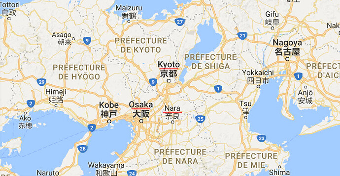 Extrait de carnet de voyage, Kyoto, Tokyo - Floreette Extrait de carnet de voyage, Kyoto, Tokyo - Floreette