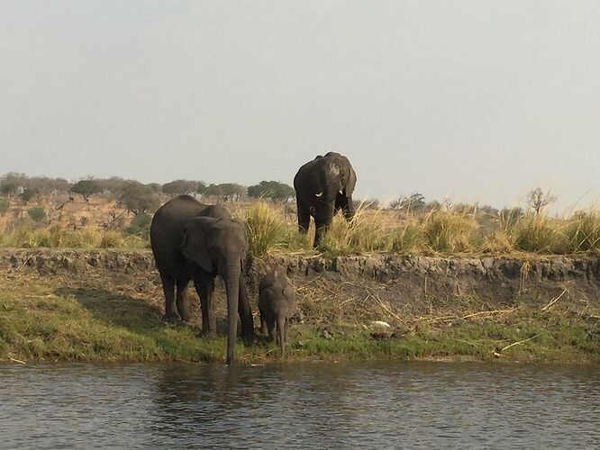 Re: NAMBOTSVIC Namibie- Botswana- Victoria Falls, 3 semaines magiques - PATOUTAILLE