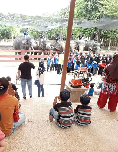 Kuala gandah conservation Elephant conservation centre ! - baroudeur93 Kuala gandah conservation Elephant conservation centre ! - baroudeur93