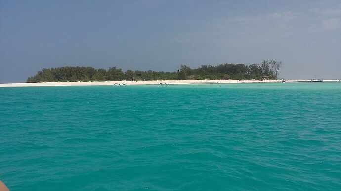 Re: Mon incroyable voyage à Zanzibar! - Jean-Luc-F